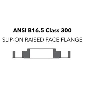 ANSI 300#
