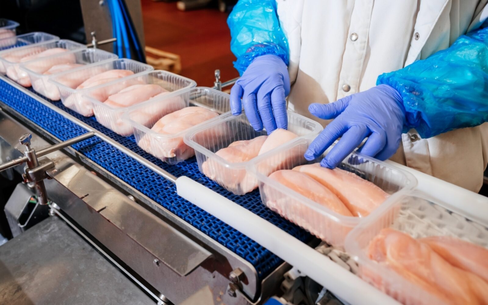 Optimizing Food Production with High-Performance Lightweight Conveyor Belts